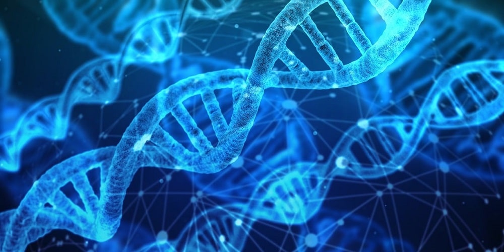 L’ADN circulant : une nouvelle arme simple et rapide dans le diagnostic et le suivi des cancers