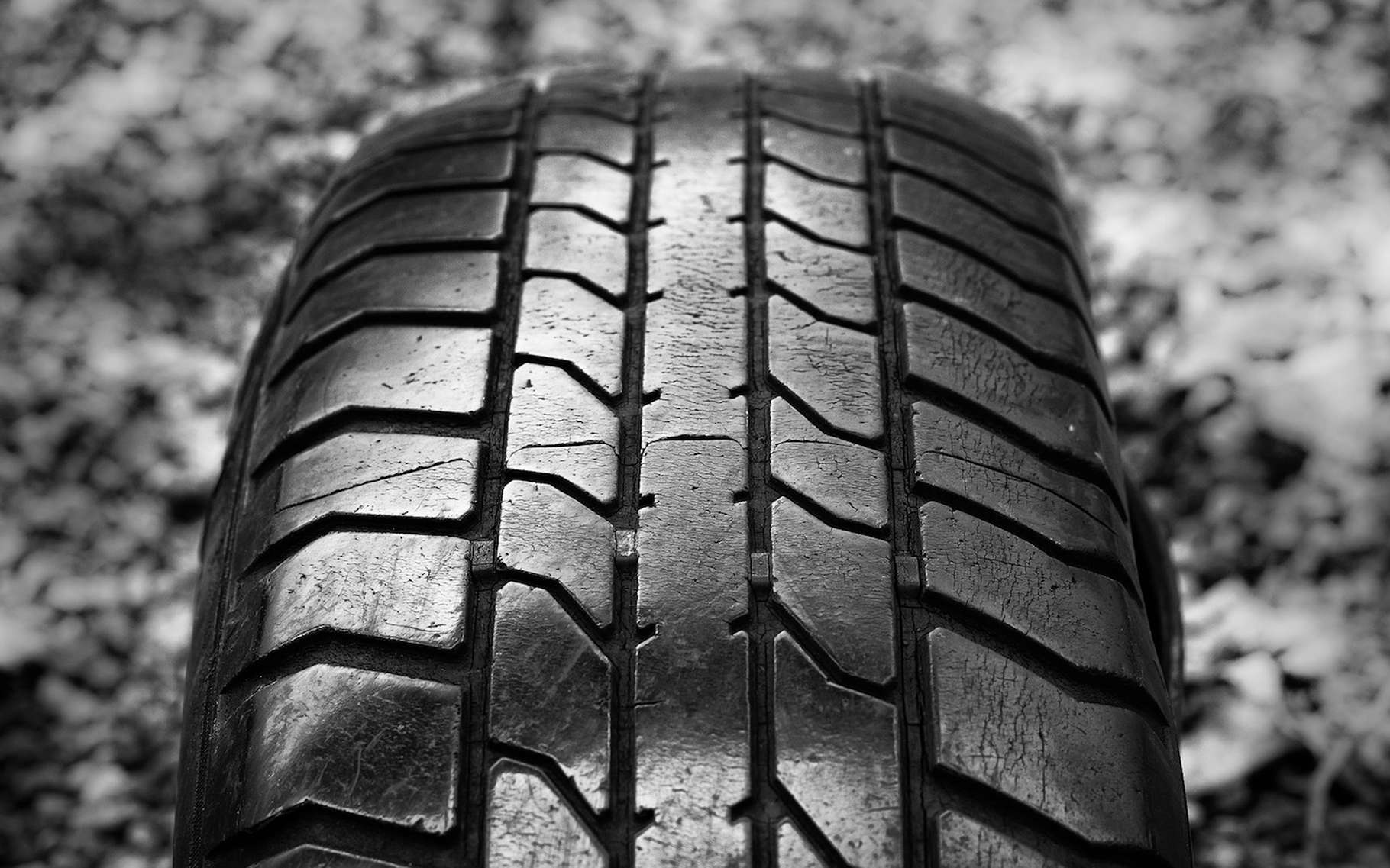 Bientôt des pneus à base d'isoprène biologique ?