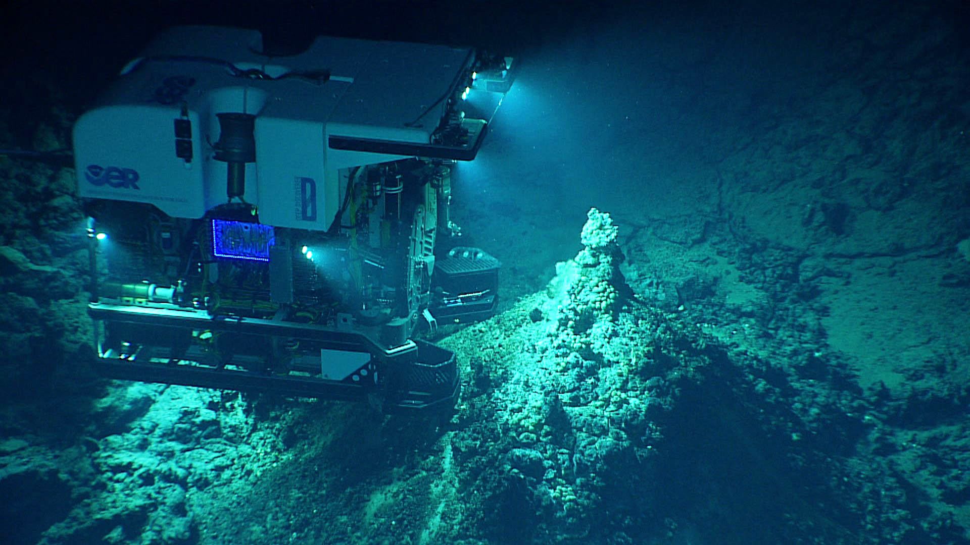 La fosse des Mariannes, l'endroit le plus profond du monde