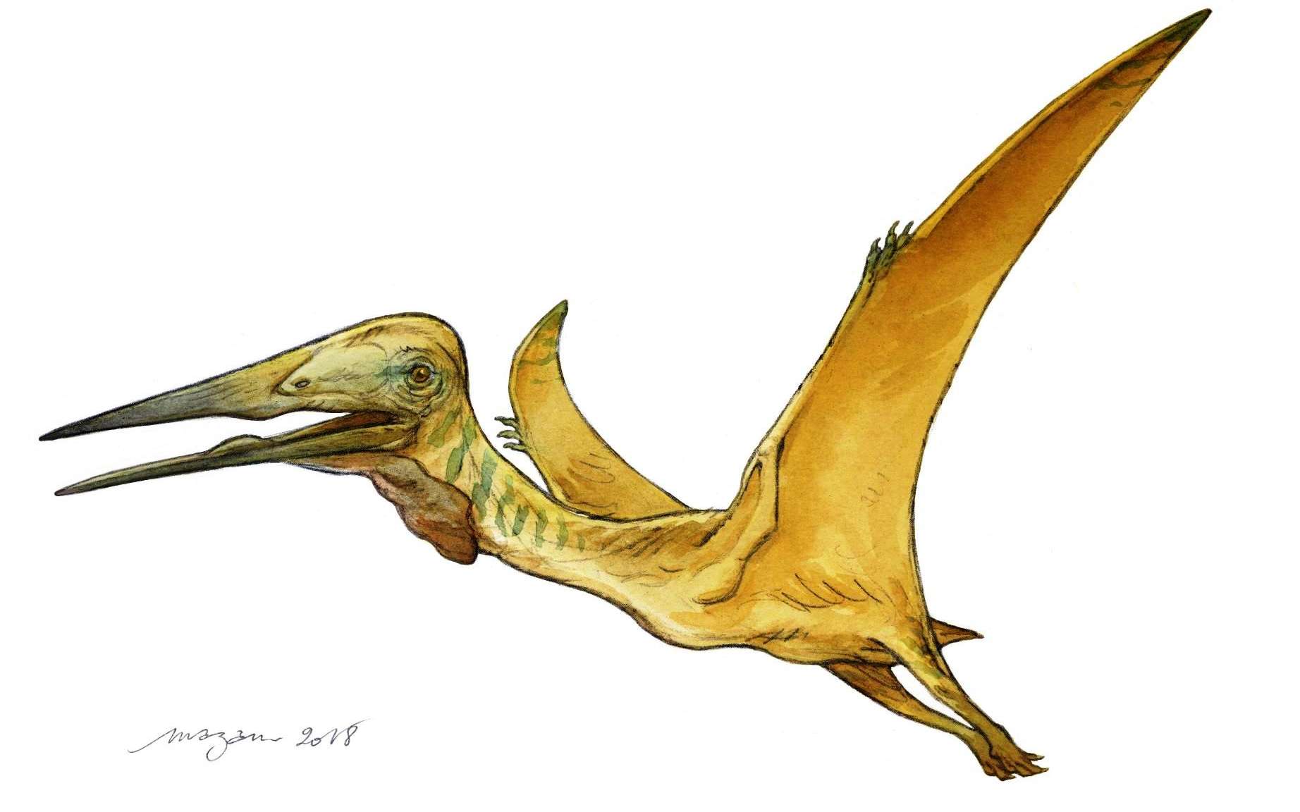 Ptérosaure géant : une toute nouvelle espèce découverte en France