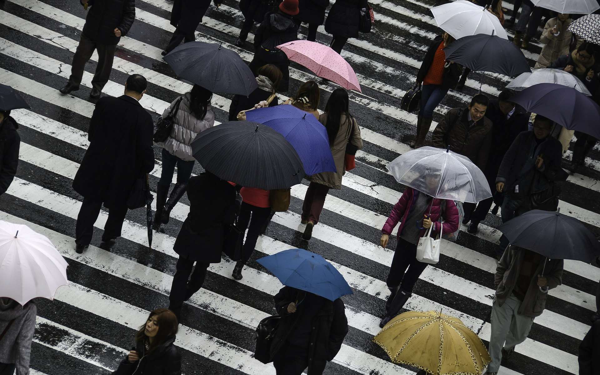 France : top 20 des villes où il pleut le plus