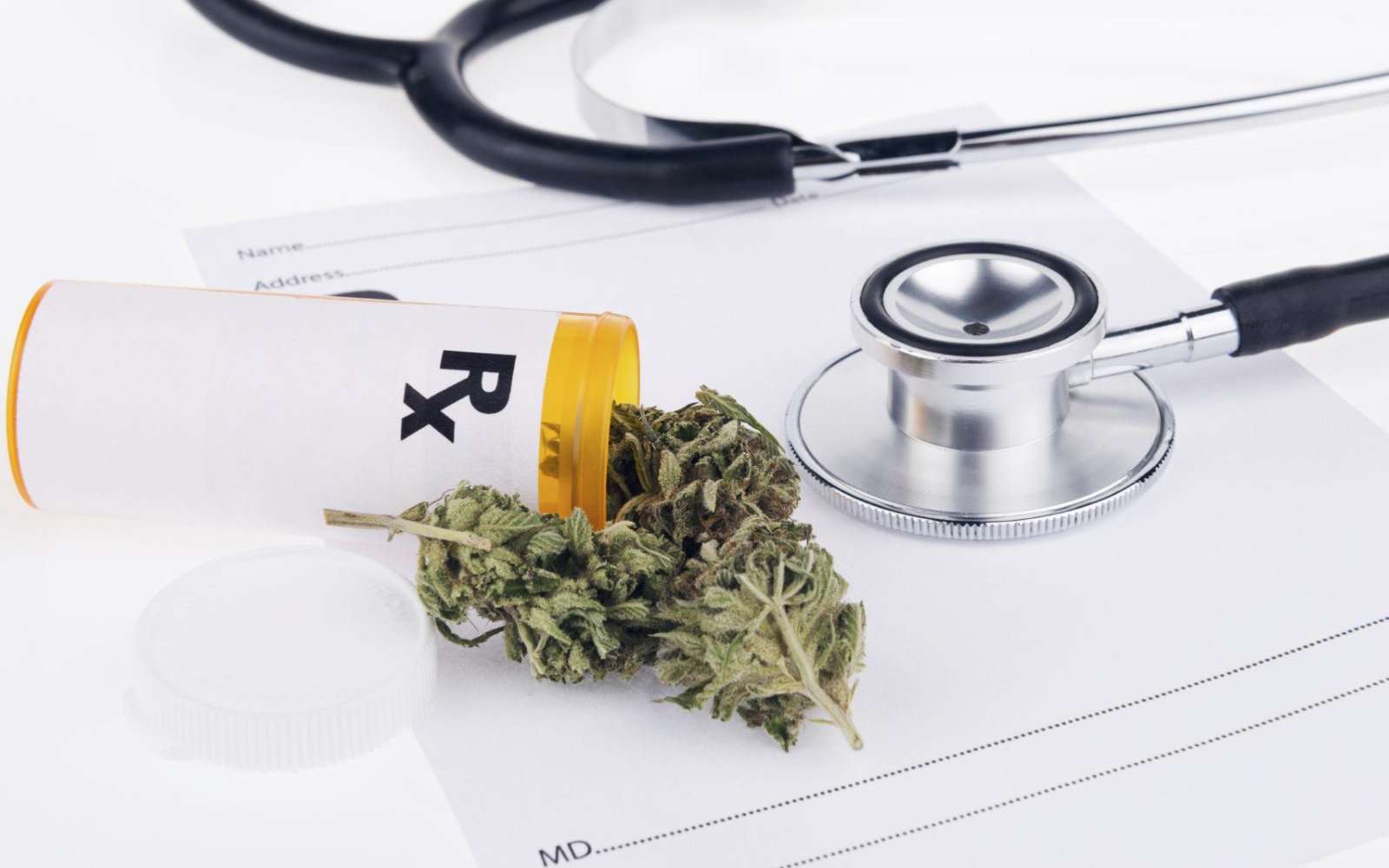 Cannabis thérapeutique : il n'y a aucune raison de s'y opposer pour le Comité éthique et cancer