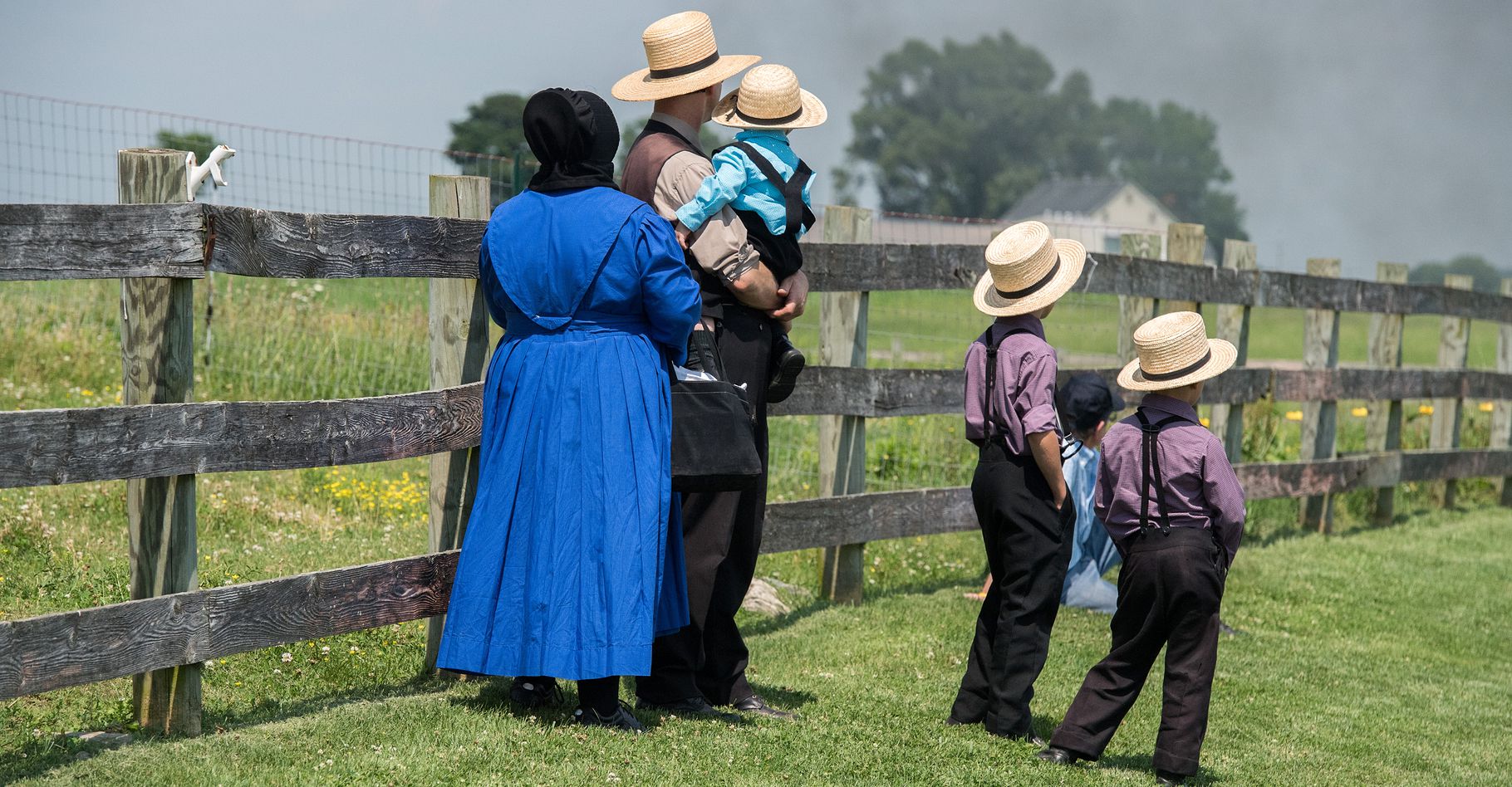 Pourquoi les enfants Amish ont moins d'asthme ? Grâce aux microbes