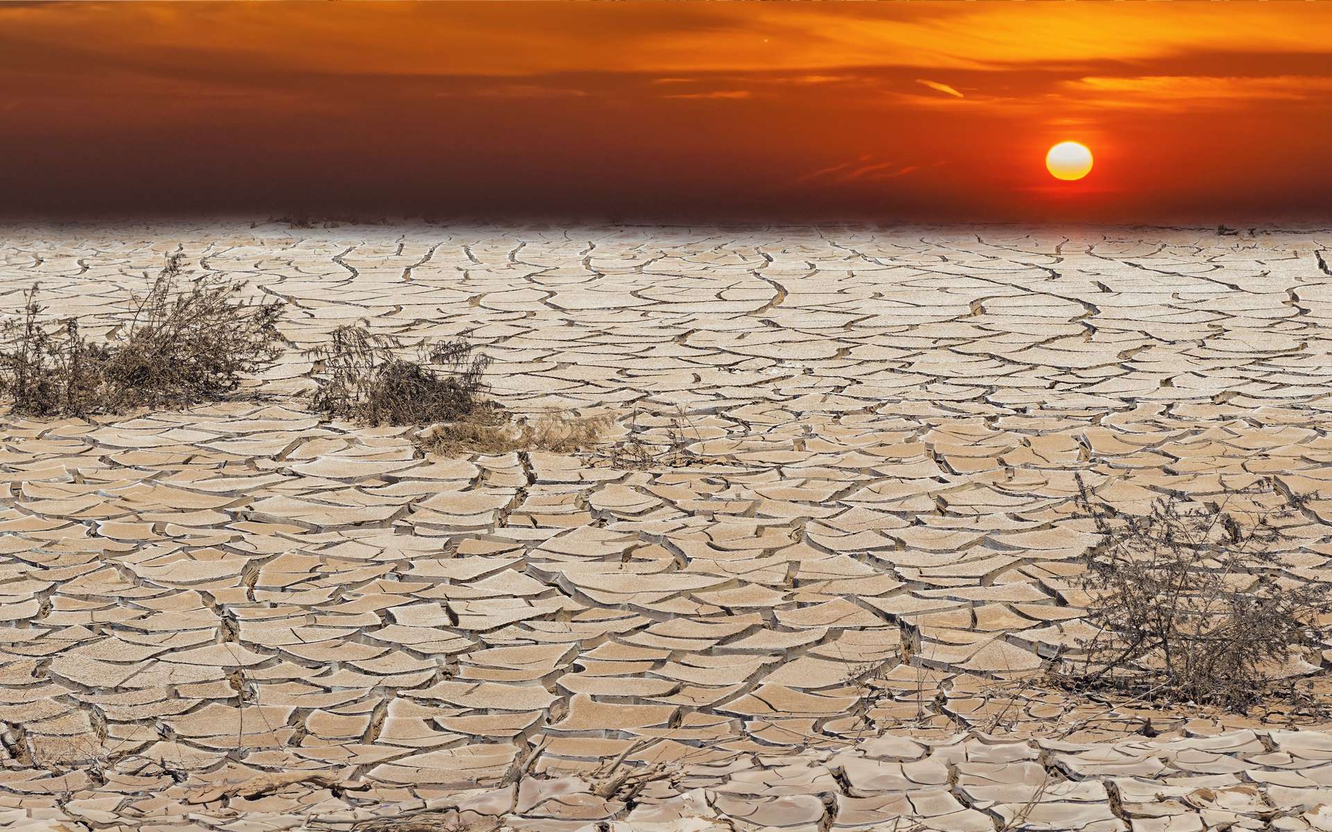 11.000 scientifiques déclarent l'urgence climatique