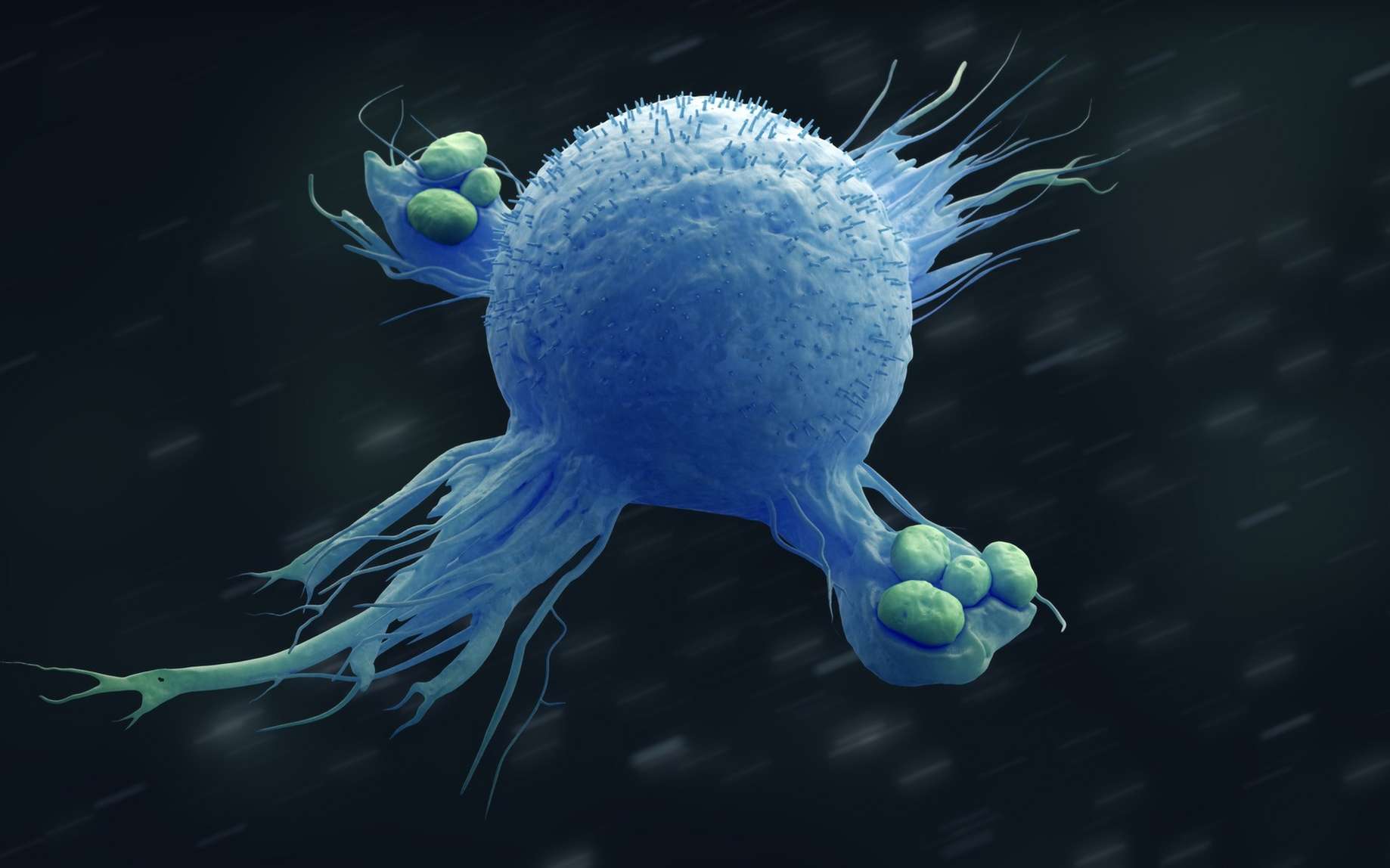 Cancer : une nouvelle immunothérapie prometteuse pour vaincre le mélanome