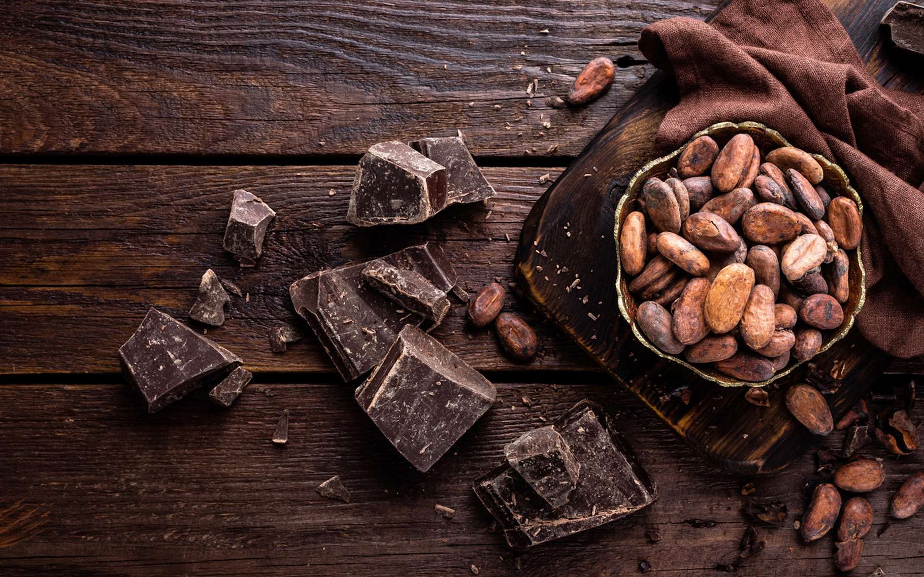 Journée mondiale du chocolat : ouvrir les yeux sur les conditions précaires des producteurs