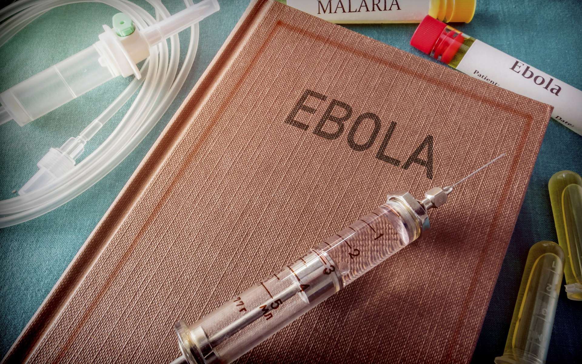 Enfin un vaccin contre le virus Ebola