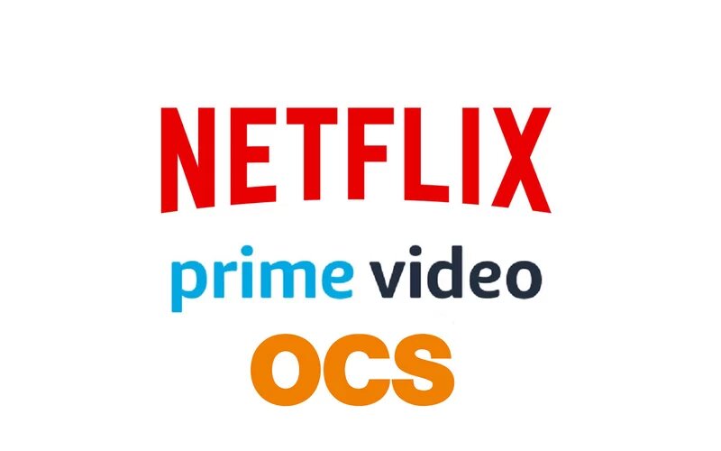 Dossier : Netflix, Amazon Prime Video, OCS : les films et séries à ne pas rater en janvier
