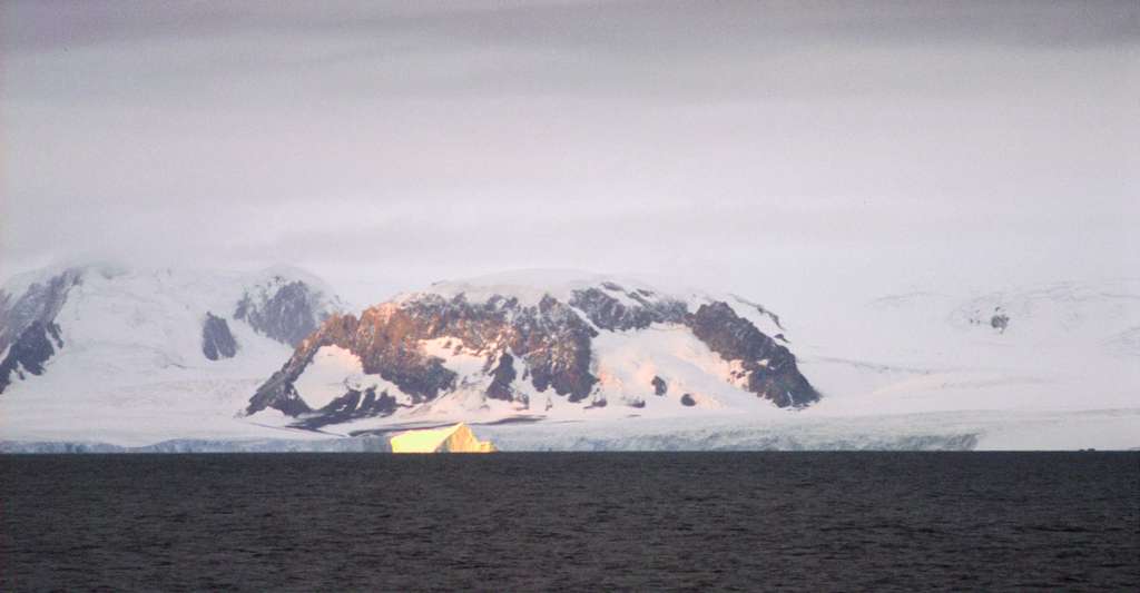 L’Antarctique plus vert que jamais