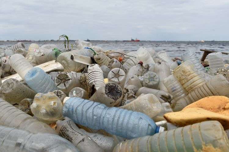 Plastique : 8,3 milliards de tonnes fabriquées par l'Homme depuis 1950