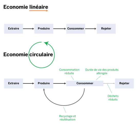 Déchets, recyclage, réutilisation : qu’est-ce que l’économie circulaire ?