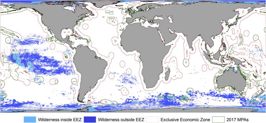 Océans : les zones marines sauvages ont quasiment disparu