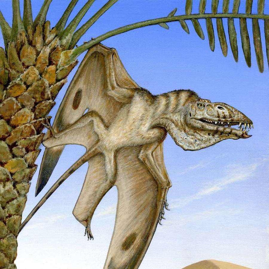 Un ptérosaure exceptionnellement conservé, vieux de 200 millions d'années, découvert aux États-Unis