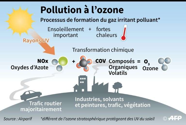 Canicule : une pollution à l'ozone toxique pour l'Homme