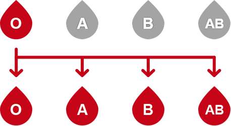 Don du sang : du sang de groupe O pour tous grâce à une enzyme