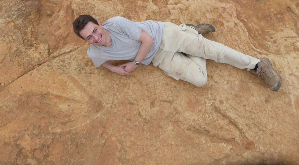 Dinosaure : Ledumahadi mafube, le nouveau géant d'Afrique australe
