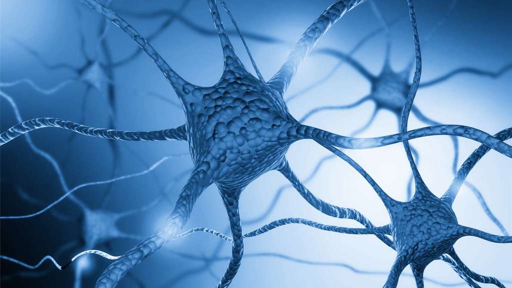 Parkinson : des cellules souches greffées dans le cerveau d'un patient