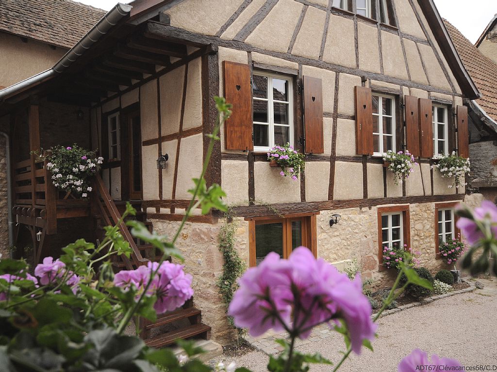 Abritel Location Alsace Bergheim - Maison de charme au plein coeur de la route des vins