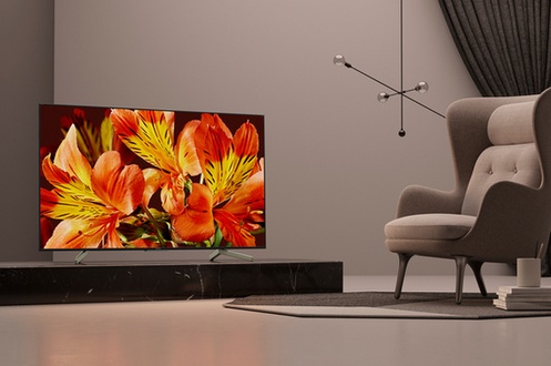 TV LED Sony KD55XF8596 4 HDR