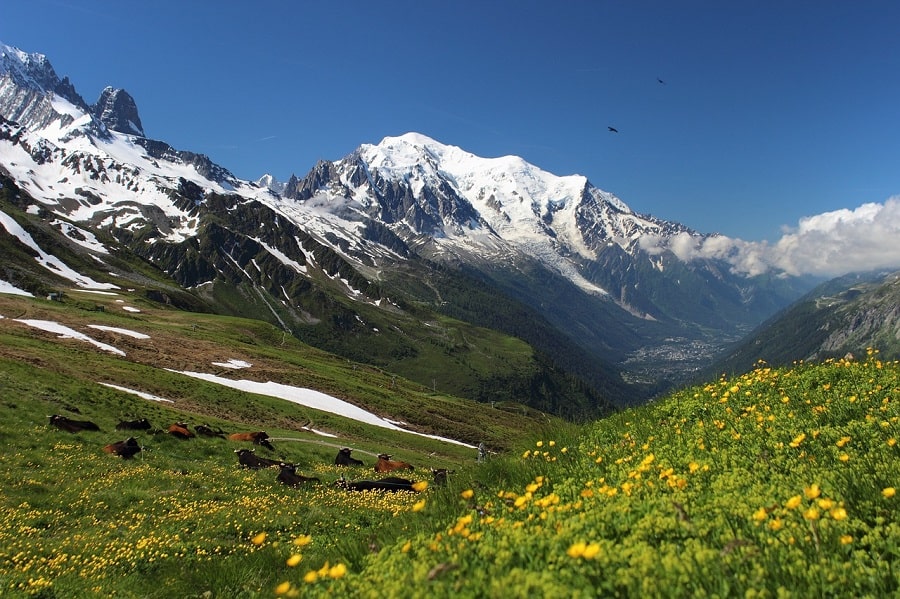 Est-il vrai que l'on peut voir le mont Blanc depuis la tour Eiffel ? 