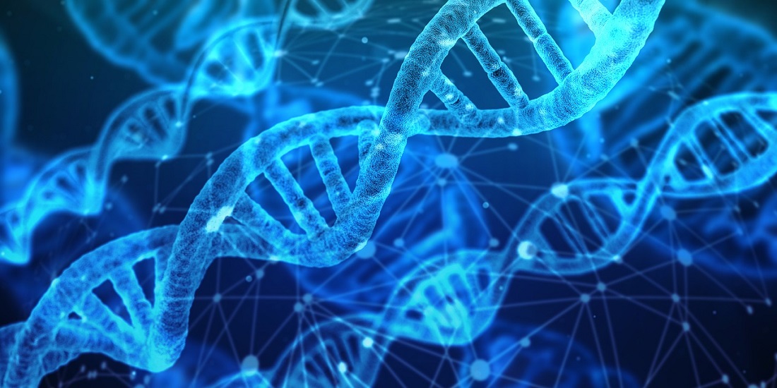 Notre ADN détermine-t-il vraiment notre intelligence et nos risques de maladies ?