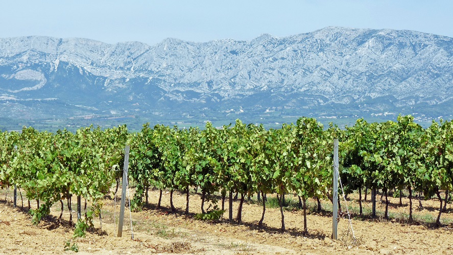 Côtes de Provence : 50 nuances géologiques de rosé