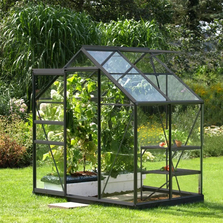 Serre de jardin aluminium et verre Allium Venus LAMS 2500 gris 2.50 m²