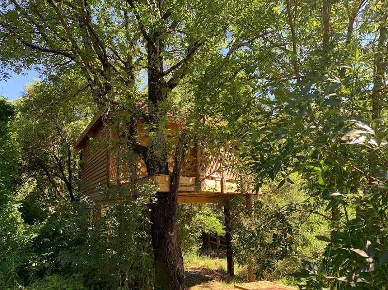 La Cabane du Soleil dans les arbres à Callian dans le Var