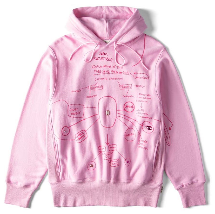 Sweat à capuche ADVISORY BOARD CRYSTALS SWAROVSKI Explanation of the Foregoing Phenomena Rose