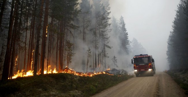 En images : de violents incendies embrasent la Suède jusqu'en Laponie
