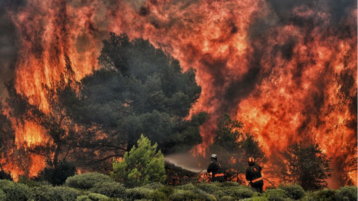 Incendies en Suède et en Grèce : les canicules amenées à se multiplier en Europe