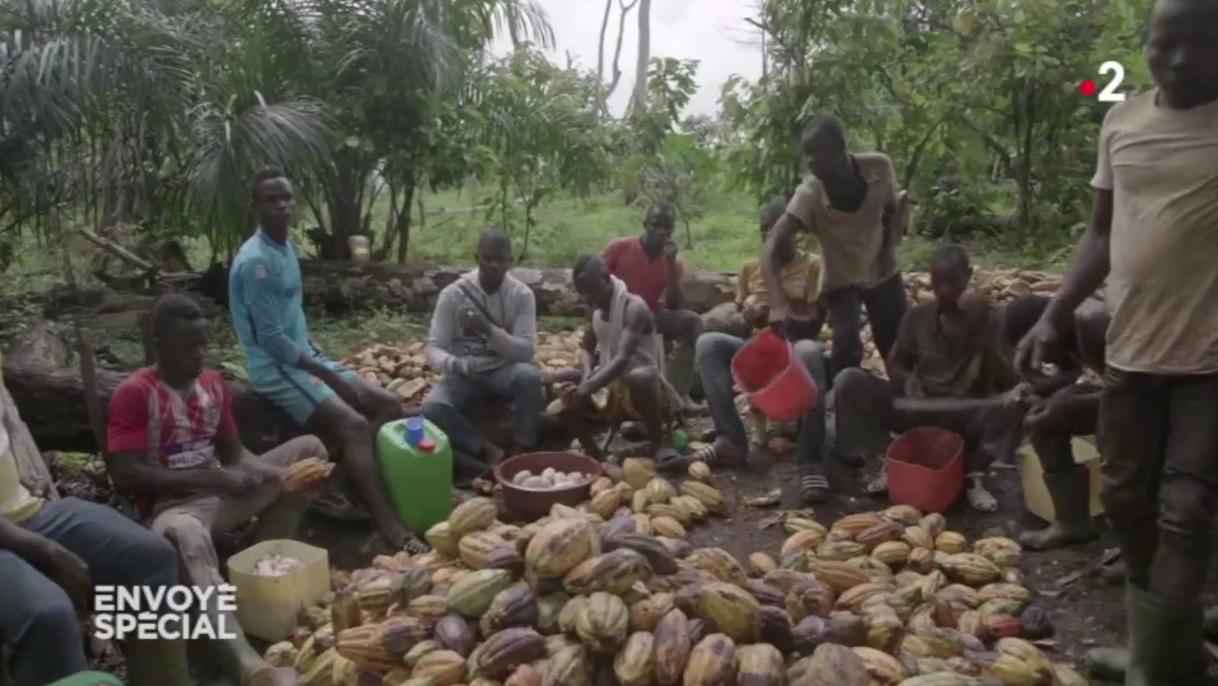 VIDEO. Déforestation, travail des enfants : "Envoyé spécial" enquête sur la face cachée du chocolat