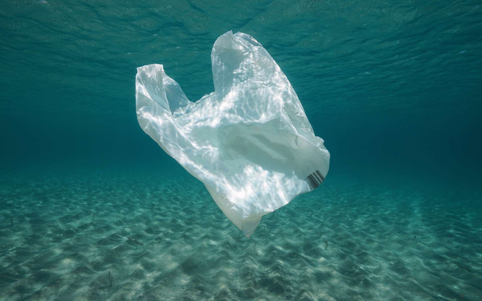 Des sacs plastiques qui se dissolvent dans l'eau
