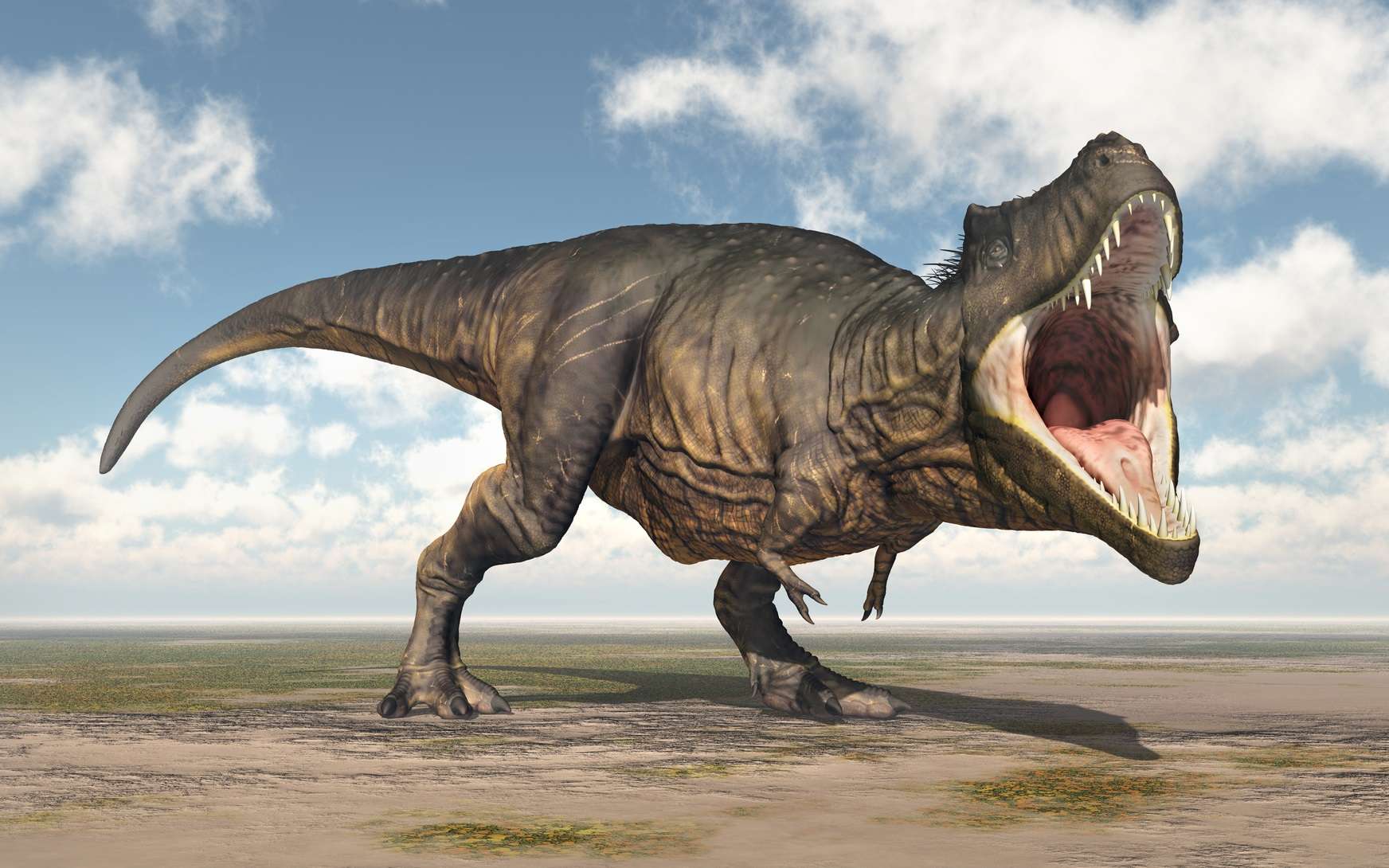 https://www.futura-sciences.com/planete/actualites/paleontologie-t-rex-ne-pouvait-pas-tirer-langue-71704/