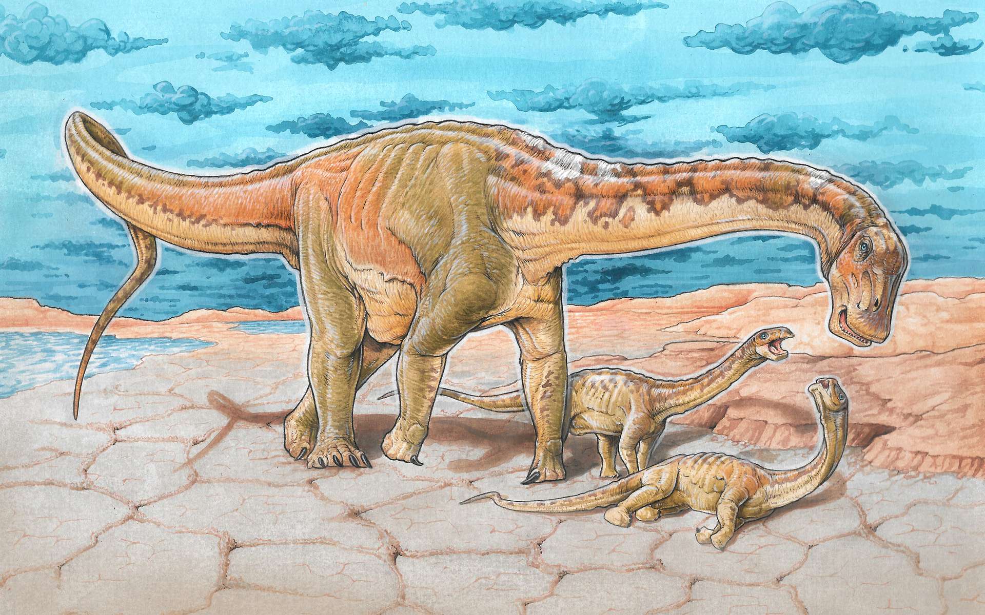 Une nouvelle espèce de dinosaure découverte en Argentine