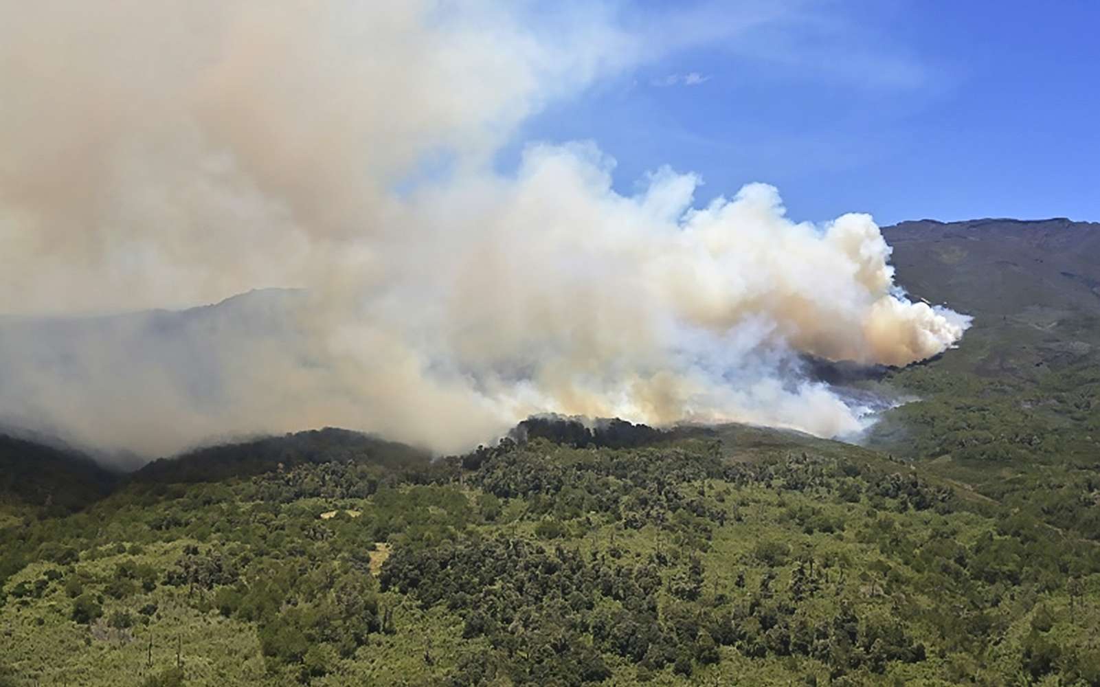 Les incendies en Afrique sont plus nombreux qu'en Amazonie. Explications