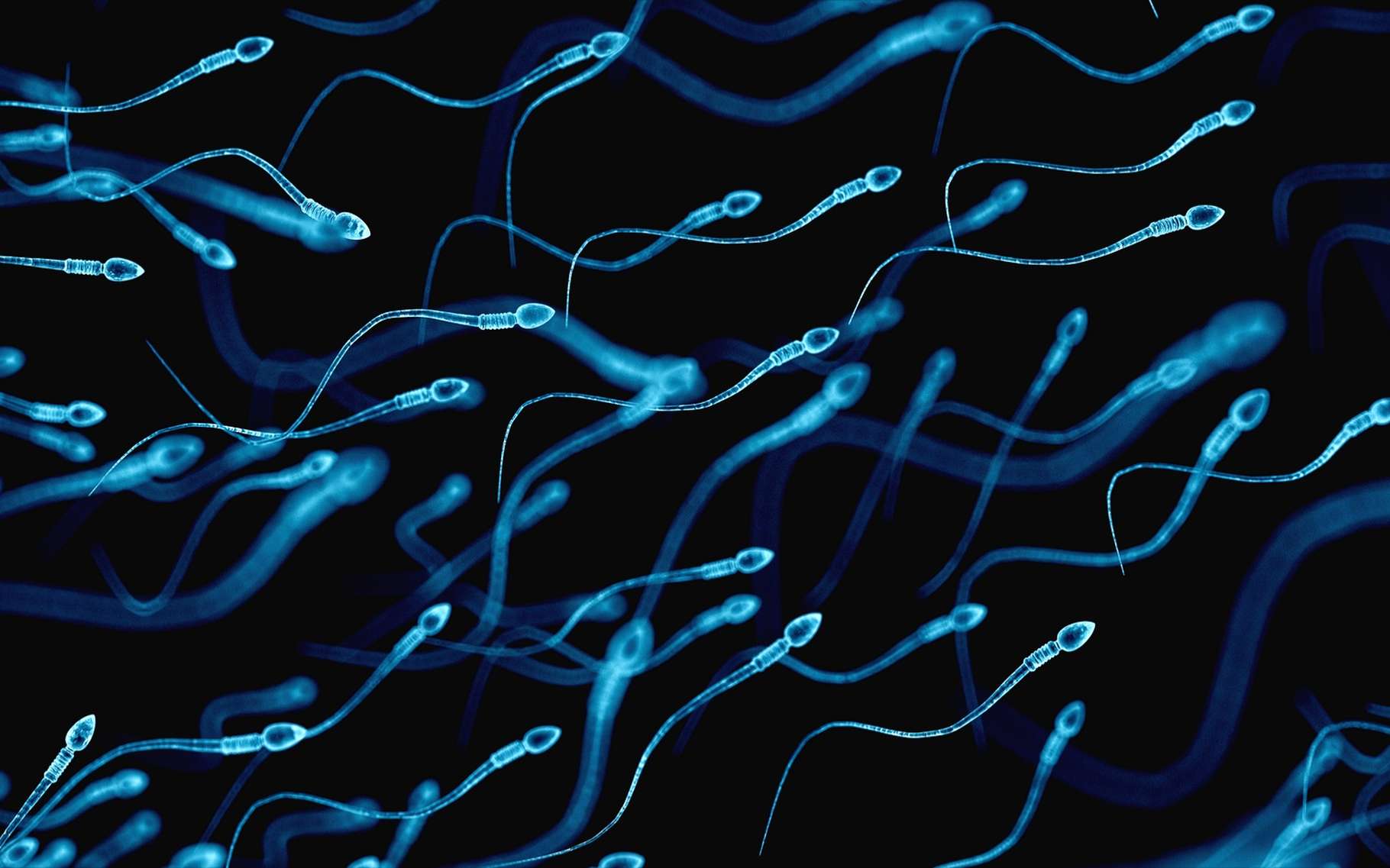 La pilule contraceptive bientôt disponible pour les hommes ? (MAJ)