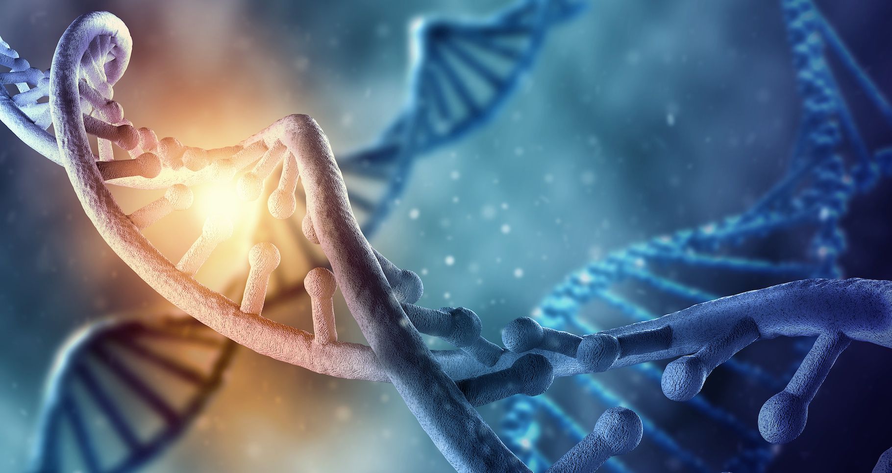 Les nanomachines naturelles réparatrices d'ADN nous aideront contre le cancer