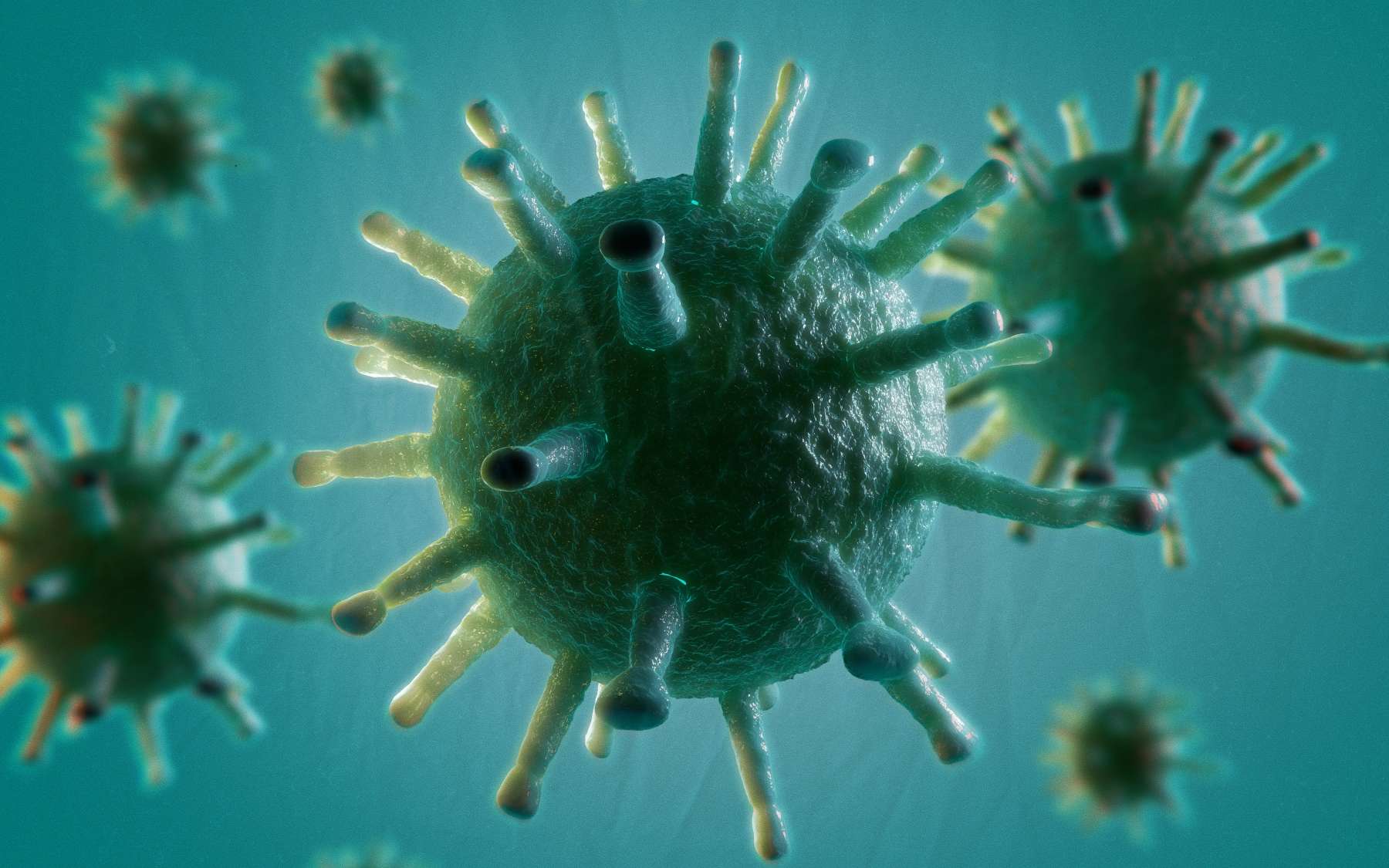 Microbe, virus, bactérie : quelle différence ?