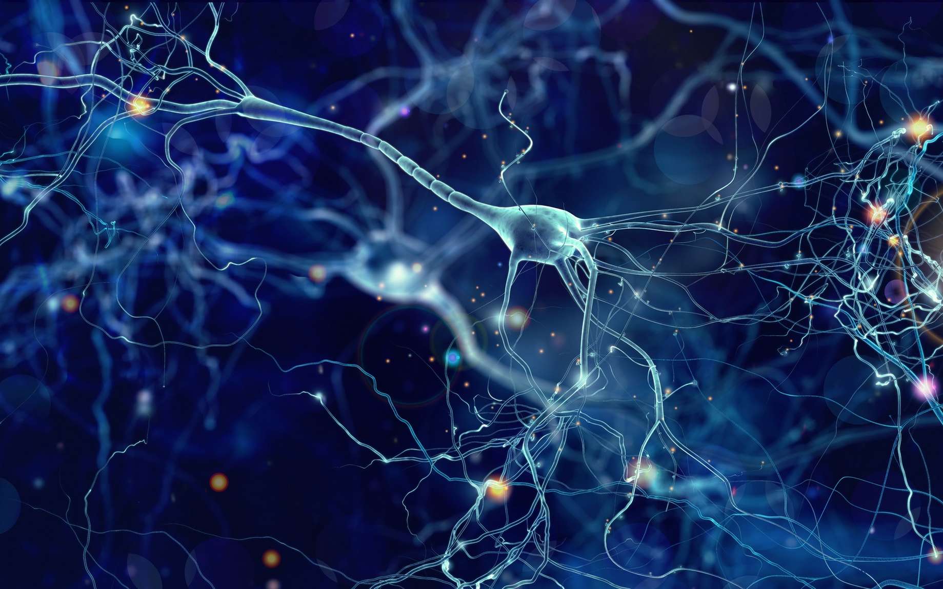 Les neurones du cerveau sont capables de modifier leur ADN !