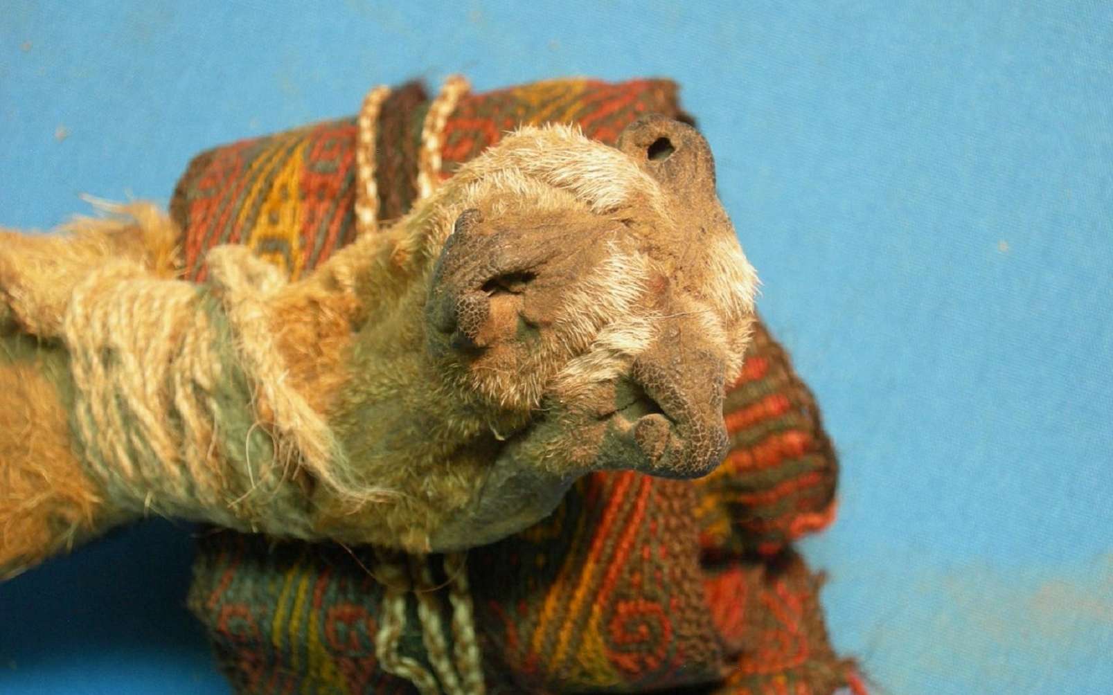 Chamanisme : ce sac vieux de 1.000 ans contenait des substances psychotropes