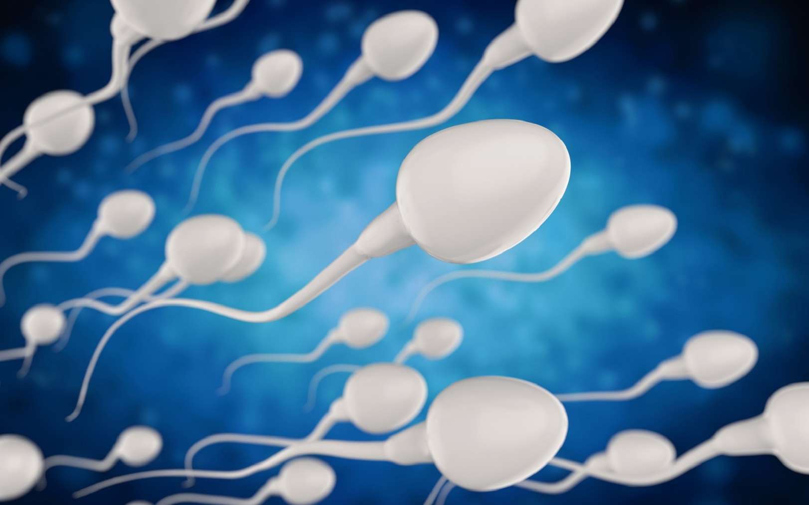 Les fausses couches à répétition peuvent être liées à une mauvaise qualité du sperme
