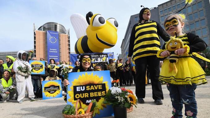 Pesticides: 3 néonicotinoïdes dangereux pour les abeilles interdits - Le Figaro