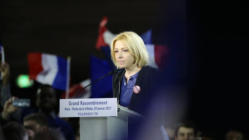 Portelli: «Un collaborateur parlementaire peut même être payé à tricoter» - Le Figaro