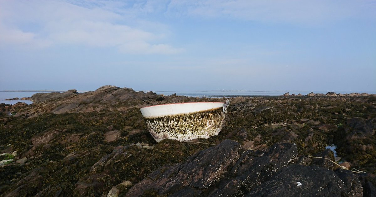 Un morceau de capsule Space X retrouvé sur une île bretonne - BFMTV.COM