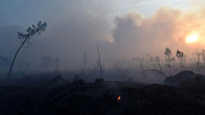 Situation très inquiétante en Gironde où plusieurs incendies sévissent - Le Figaro