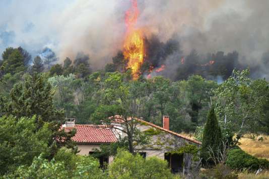 Les flammes embrasent une forêt de pins à Mirabeau (Vaucluse), le 24 juillet.