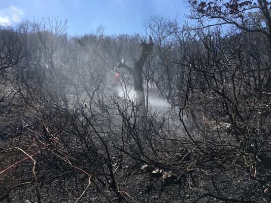 Au troisième jour d'incendies, 10 000 personnes évacuées dans le Var, accalmie en Haute-Corse - Le Monde