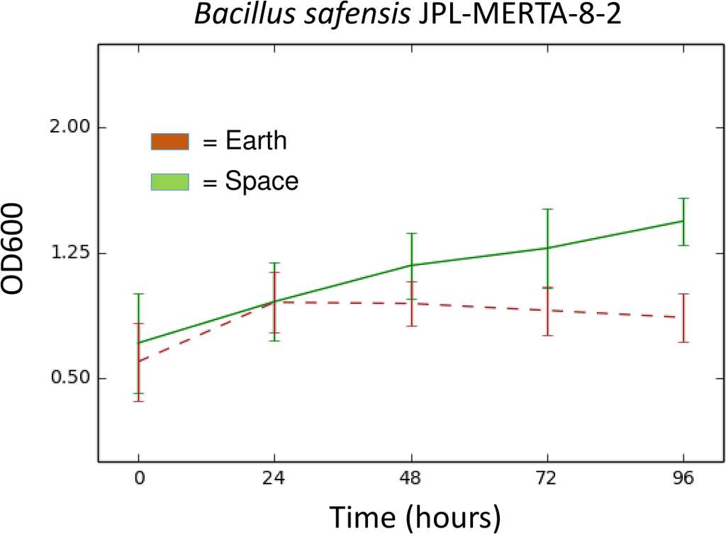 La bactérie qui est peut-être allée sur Mars