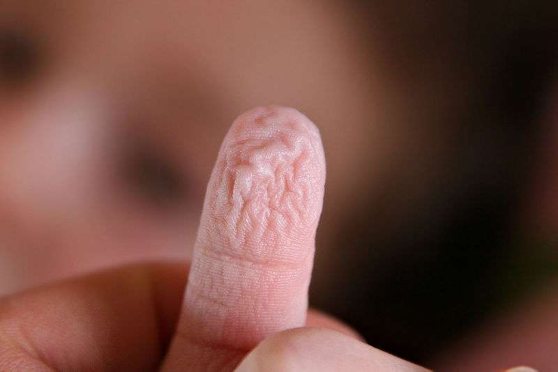 Science décalée : pourquoi les doigts se fripent-ils dans l’eau ?